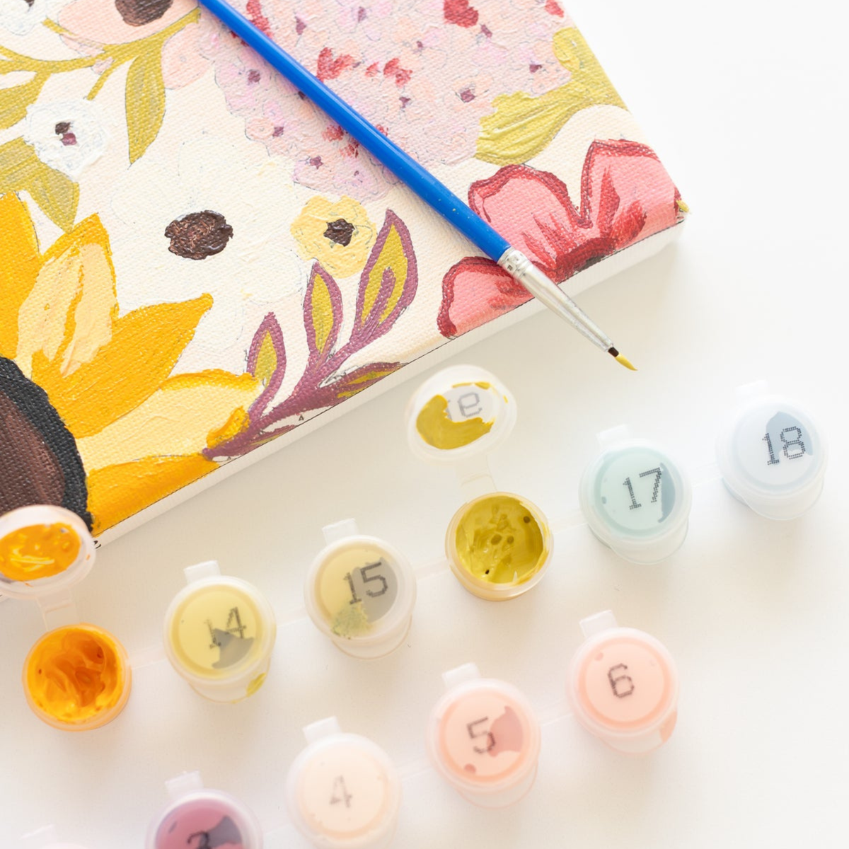 Paint By Number Kit