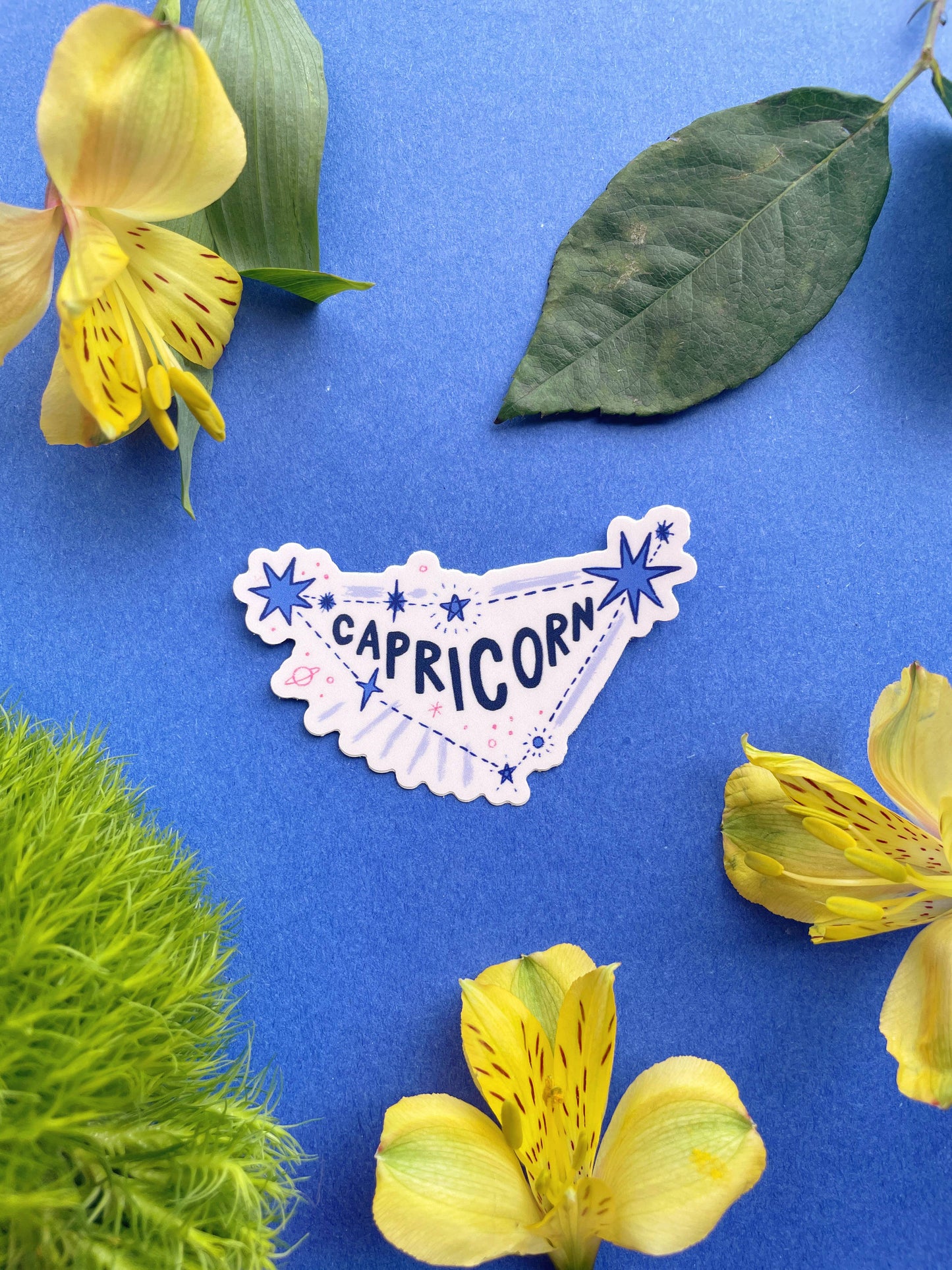 Capricorn Vinyl Sticker