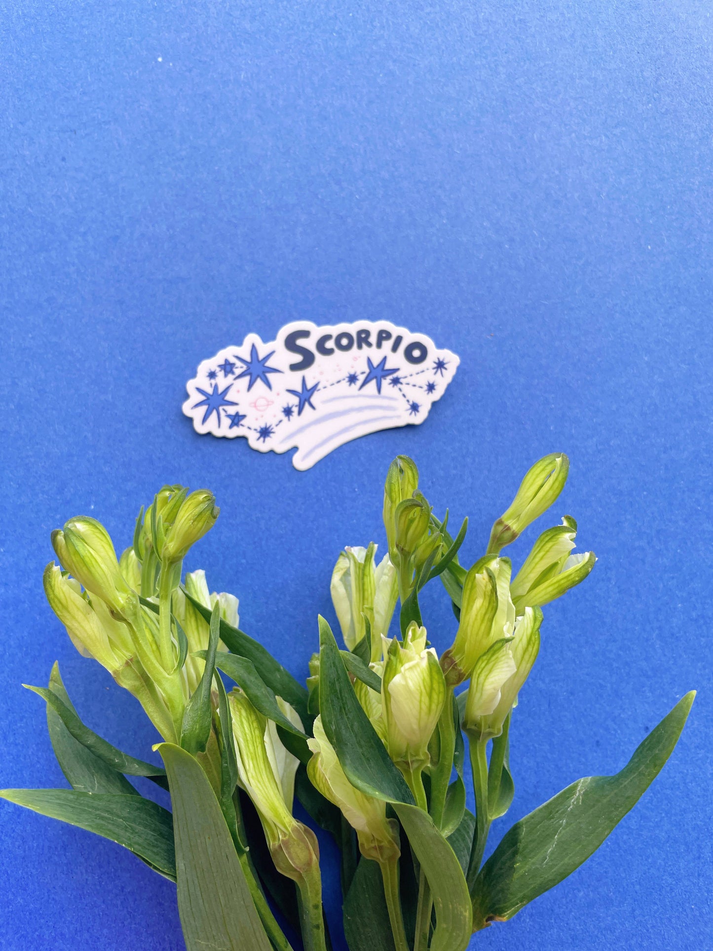 Scorpio Vinyl Sticker
