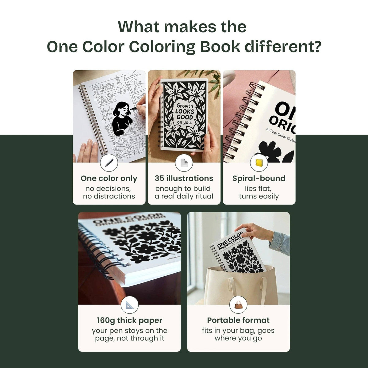 Autumn Edition -One Color Coloring Book