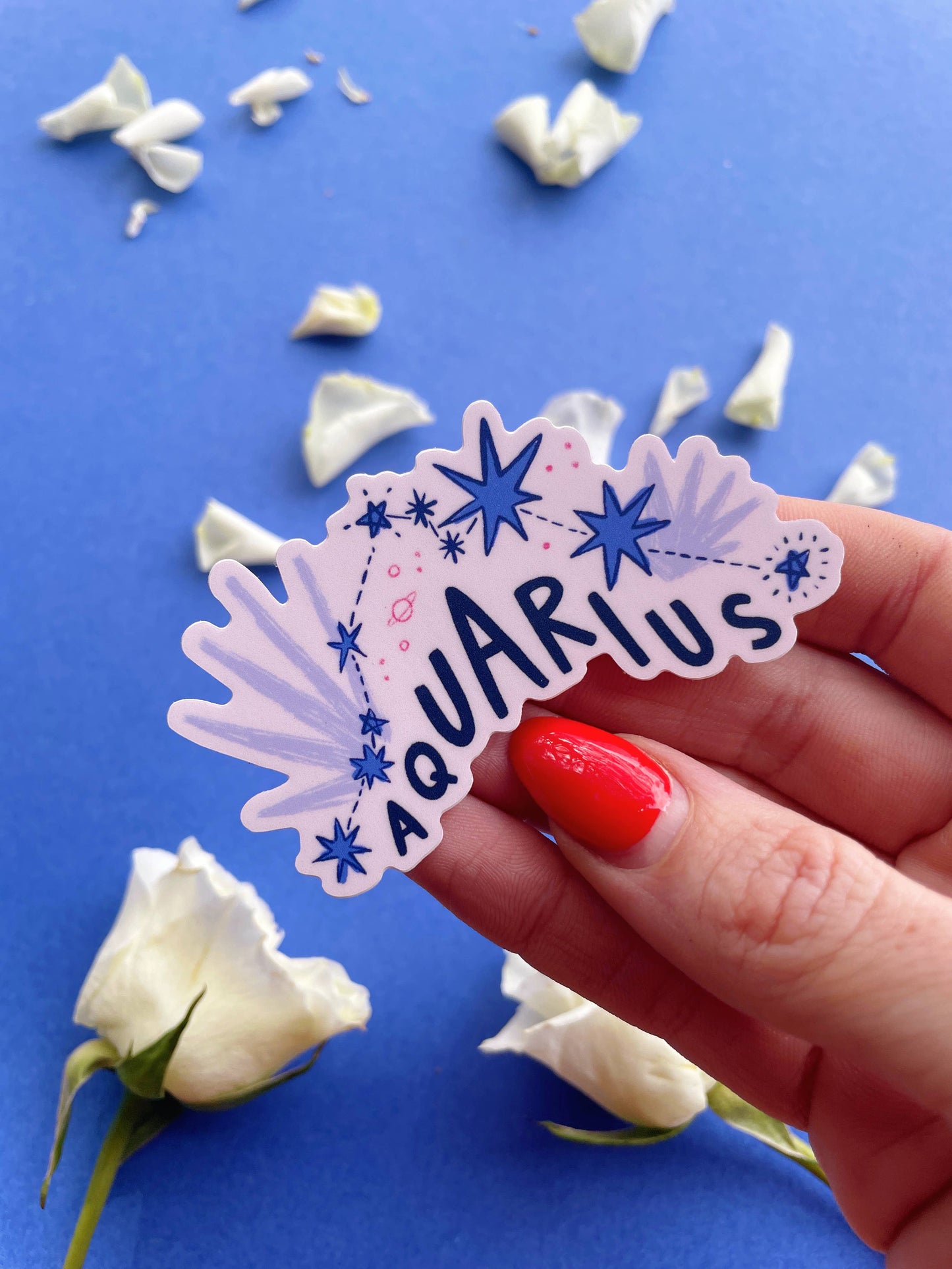 Aquarius Vinyl Sticker