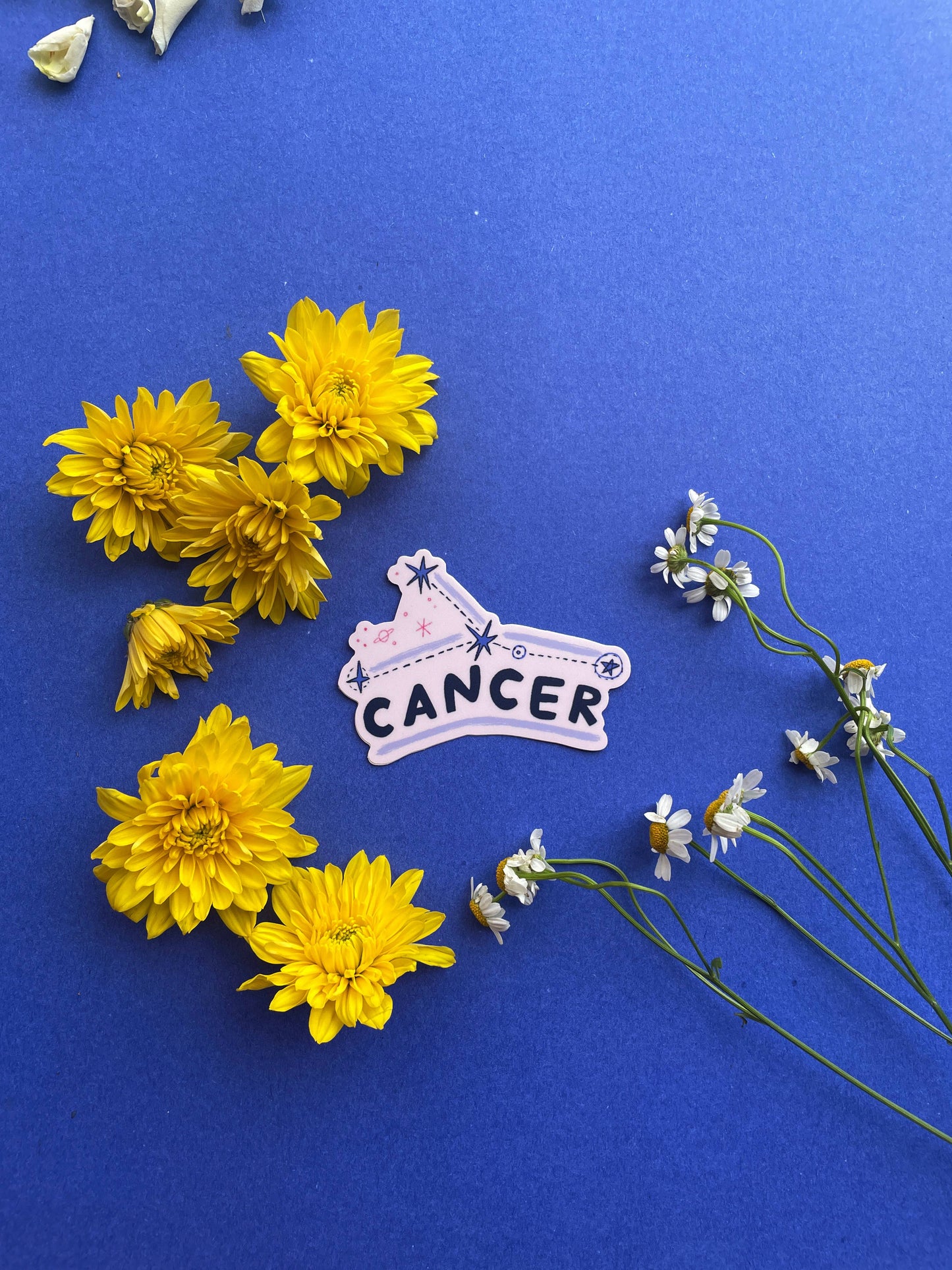 Cancer Vinyl Sticker