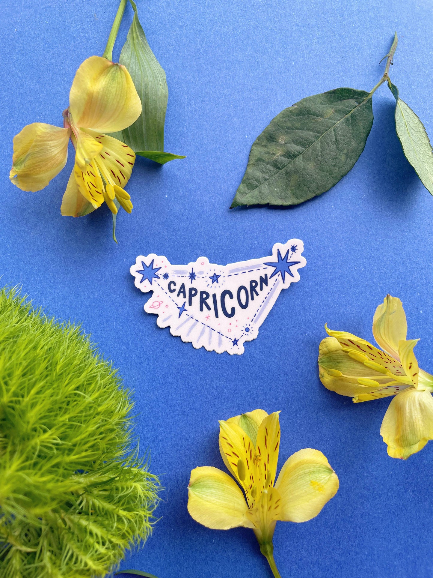 Capricorn Vinyl Sticker