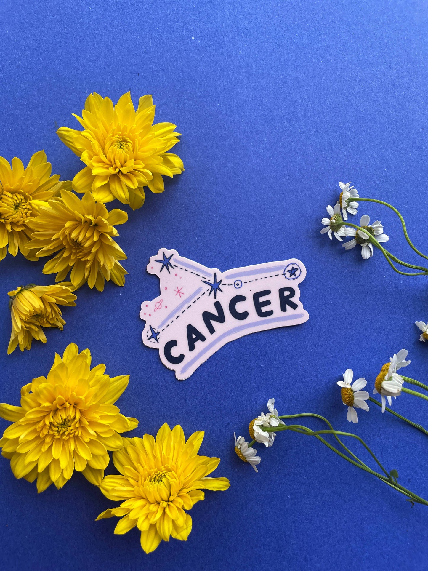 Cancer Vinyl Sticker