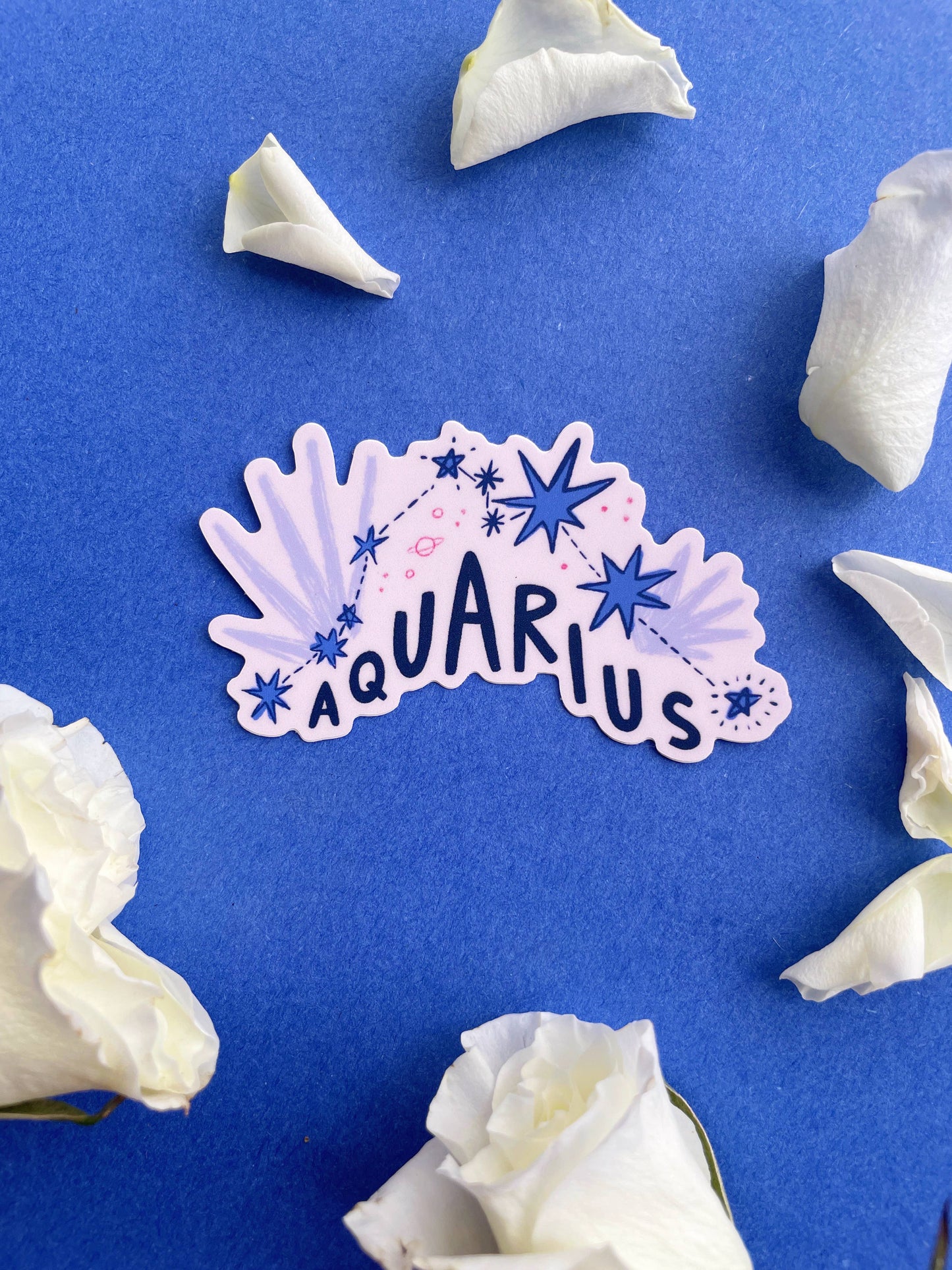 Aquarius Vinyl Sticker