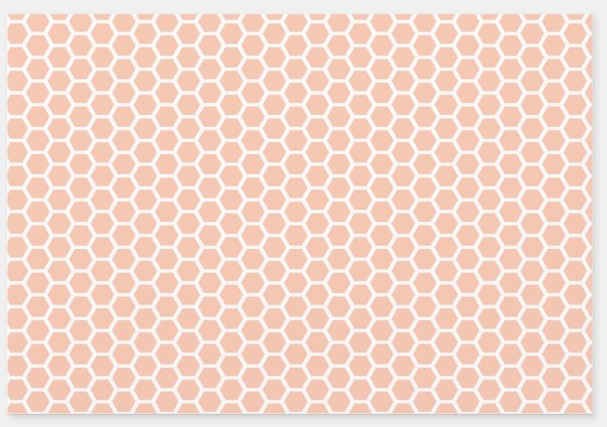 Boutique Gift Wrap 19"x29"