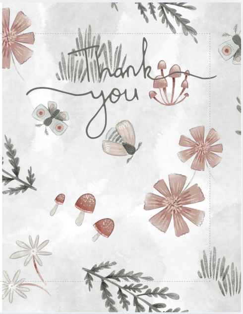 Note Card Bundle (wrapped/sleeve/boxed)