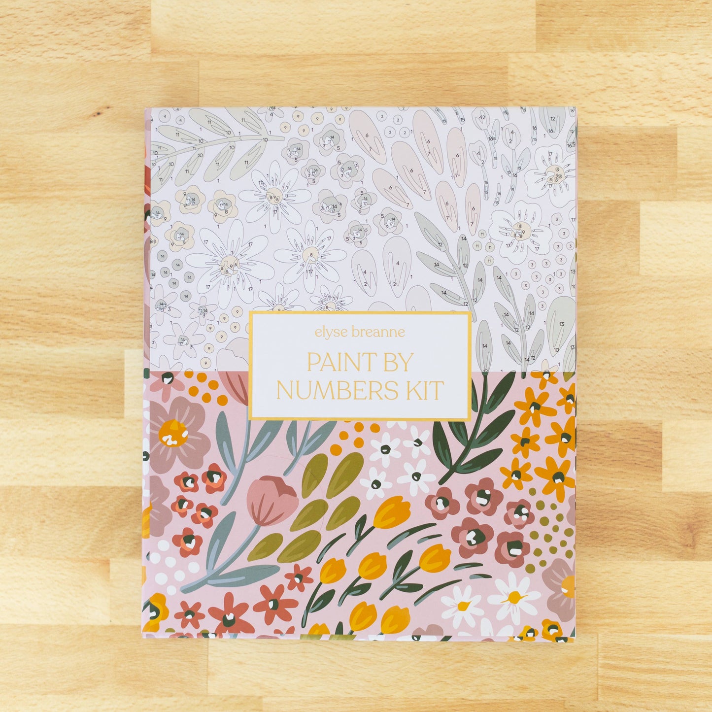 Paint By Number Kit