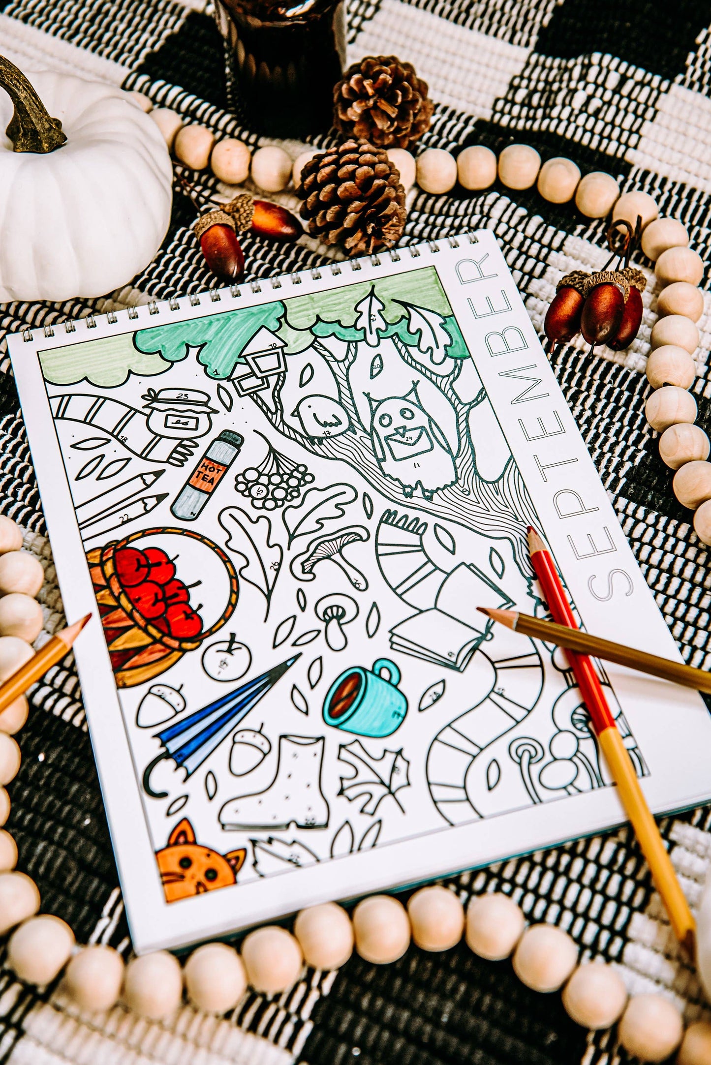 18 Month Color by Day Pages Coloring Book for Adults