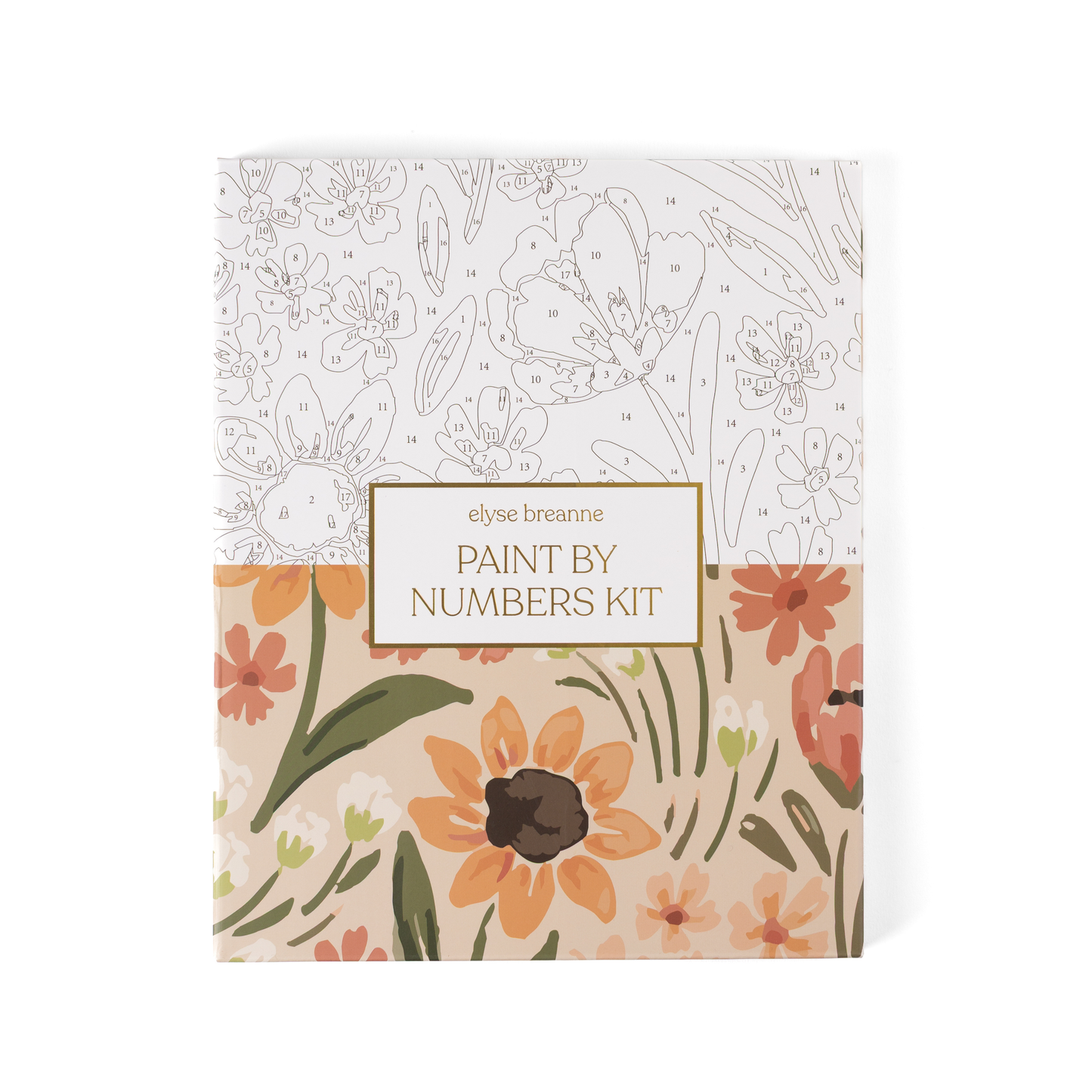 Paint By Number Kit