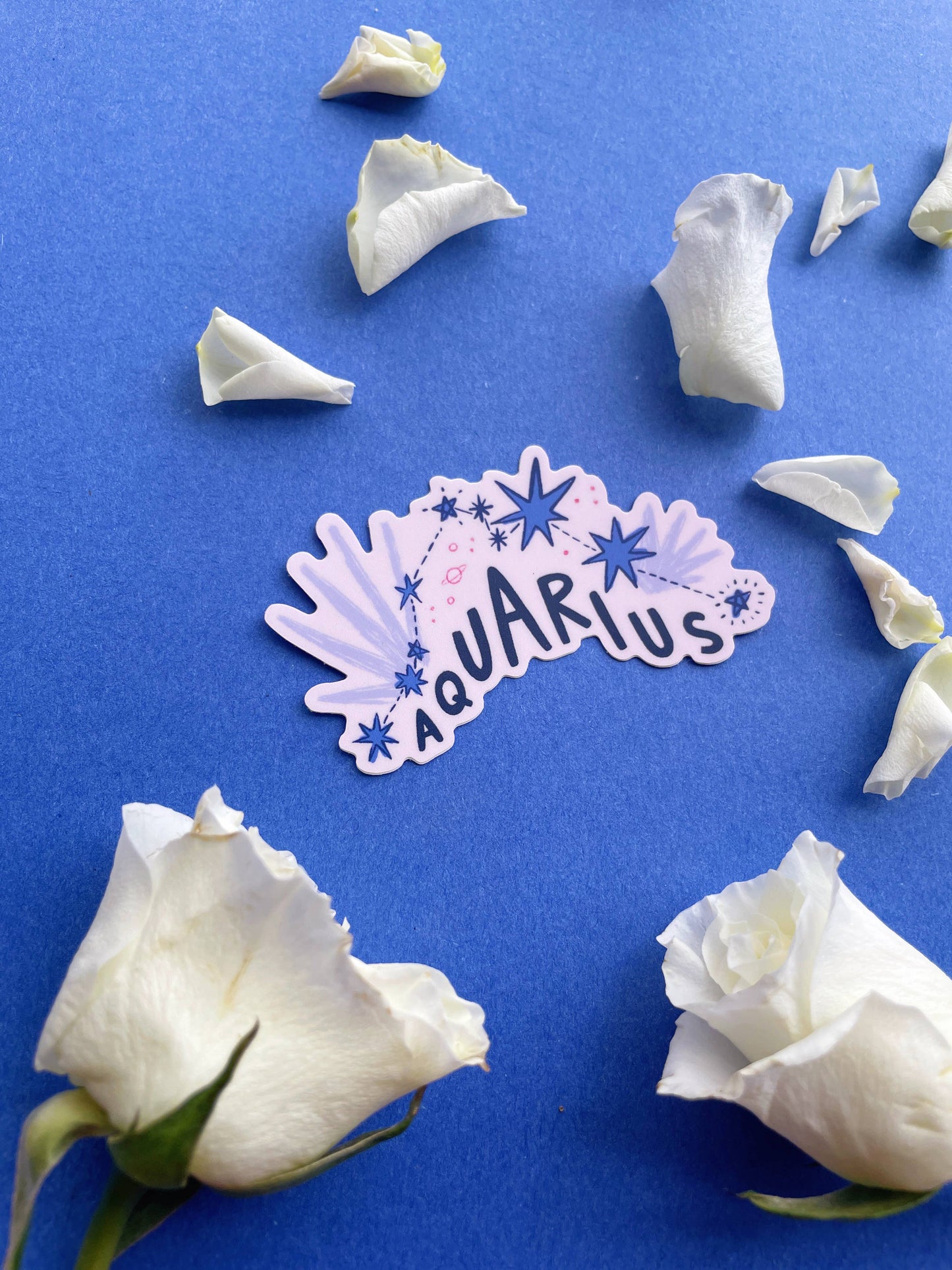Aquarius Vinyl Sticker