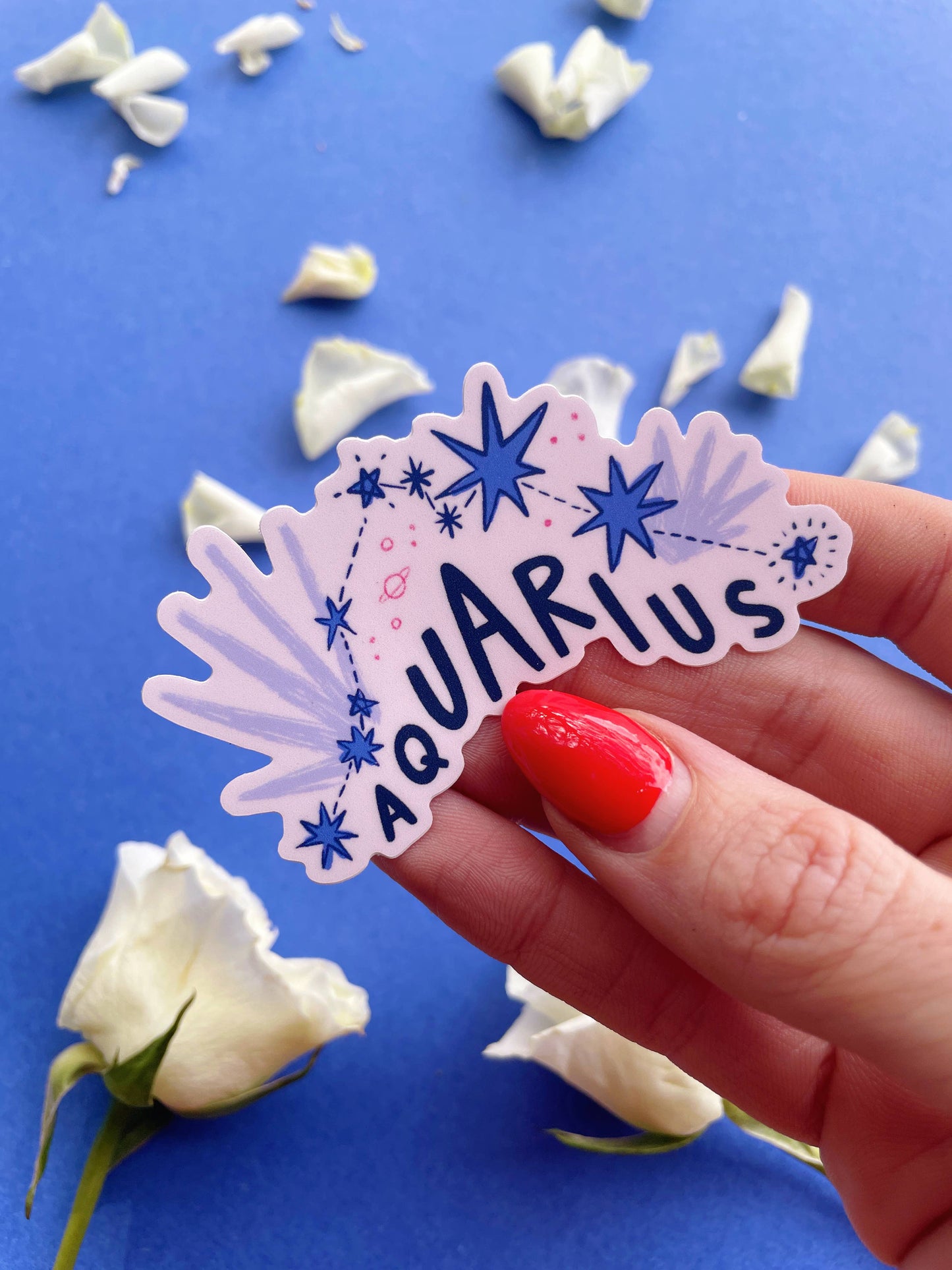 Aquarius Vinyl Sticker
